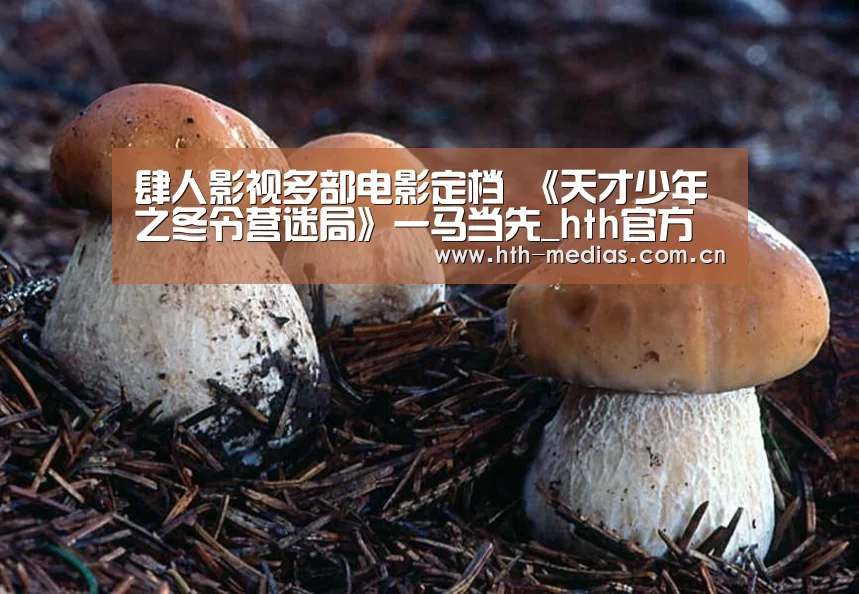 肆人影视多部电影定档 《天才少年之冬令营迷局》一马当先_hth官方网站(图2) hth网页版