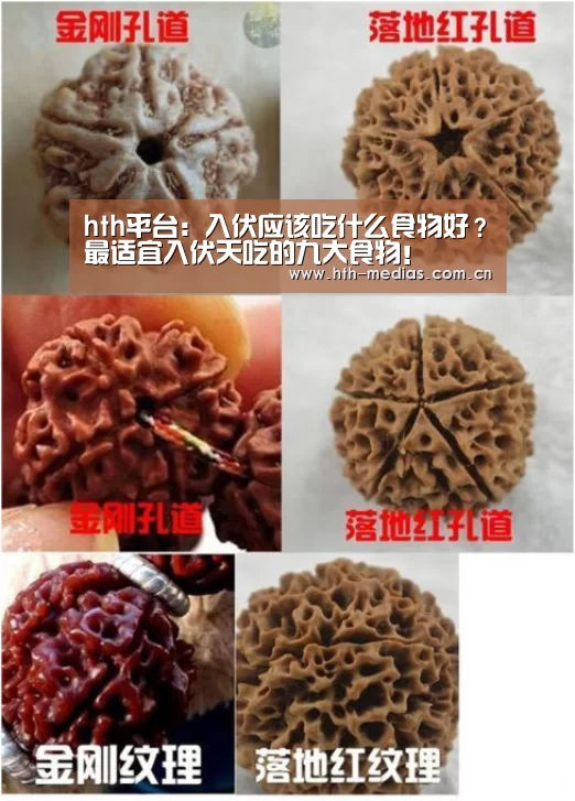 hth平台:入伏应该吃什么食物好?最适宜入伏天吃的九大食物!(图2) hth官方网站